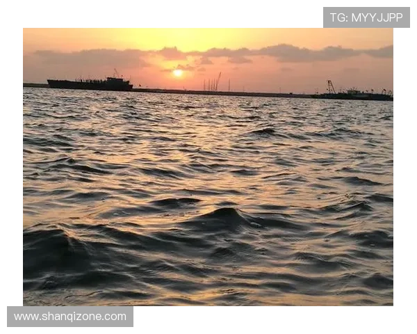 照见现实，点亮希望：一部“更好的世界”的影评